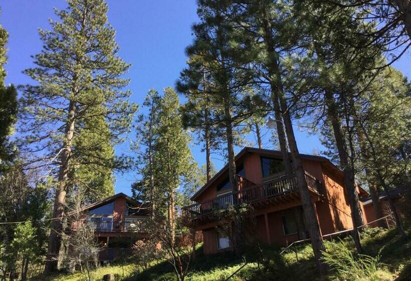 带大床的标准间, The Pines Resort & Conference Center