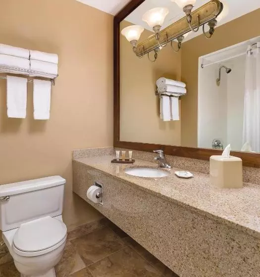 1ベッドルームアパートメント, Worldmark Palm Springs Plaza Resort And Spa
