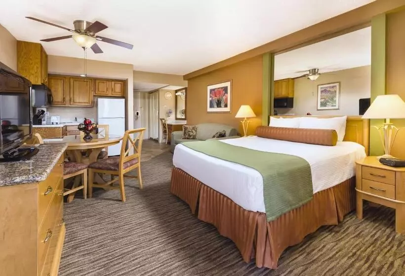 スタンダードスタジオ, Worldmark Palm Springs Plaza Resort And Spa