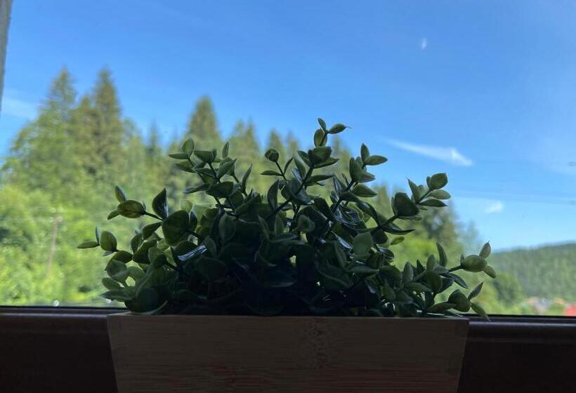 آپارتمان 1 خوابه, Totem