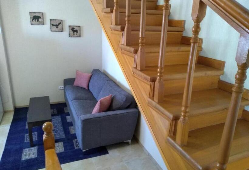 آپارتمان 1 خوابه, Totem