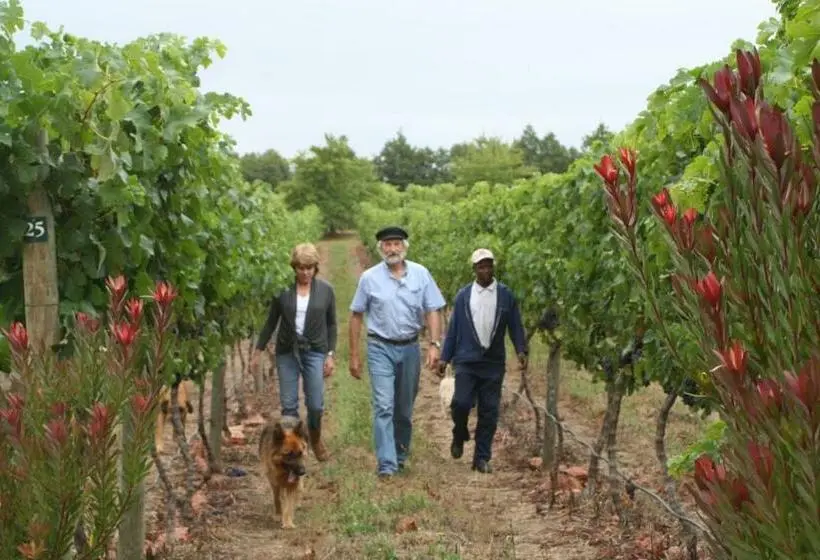 キングサイズベッドのスタンダードルーム, Belfield Wines And Farm Cottages