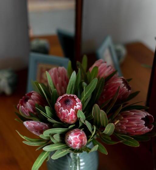 غرفة قياسية, Belfield Wines And Farm Cottages