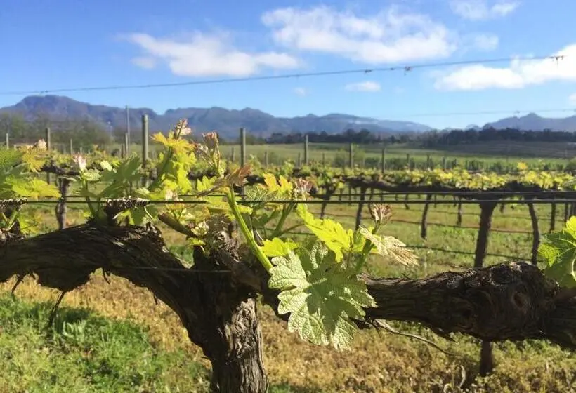スタンダードルーム, Belfield Wines And Farm Cottages