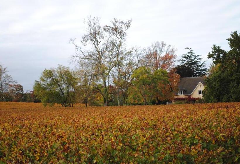 غرفة قياسية مطلة على الجبل, Belfield Wines And Farm Cottages