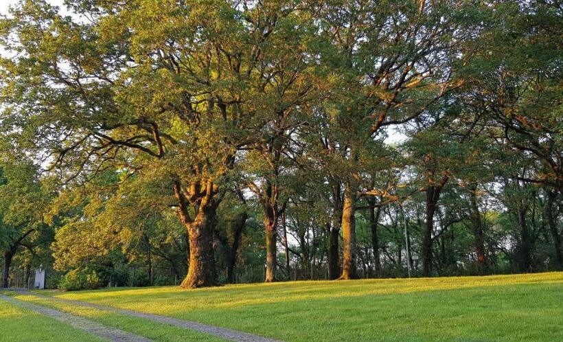 חדר סטנדרט נוף להרים, Bidachuna