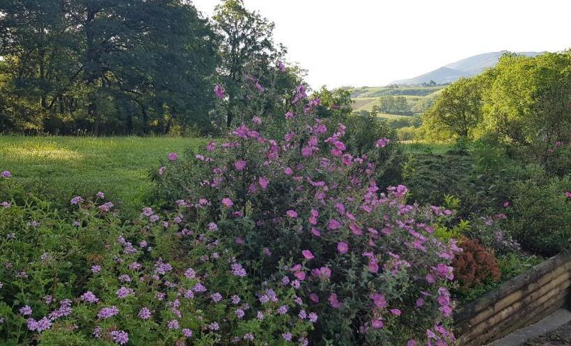 חדר סטנדרט עם נוף, Bidachuna