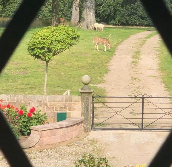 سوییت سوپریور, Florence Nightingale Suites At Lea Hurst