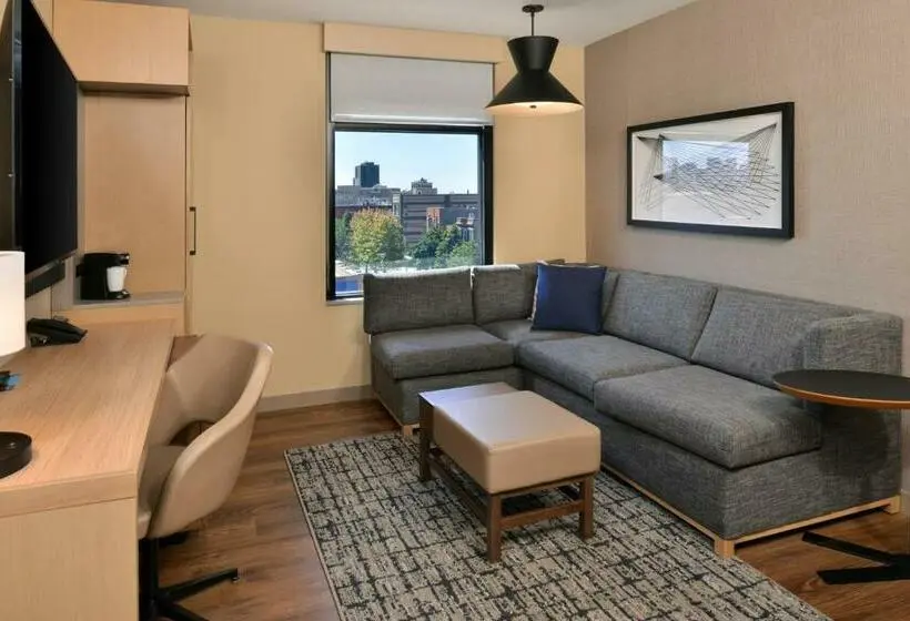 اتاق استاندارد با تخت بزرگ, Hyatt Place Chicago Wicker Park