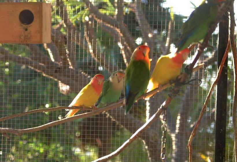 带1个卧室带泳池的公寓, Jardin De Aridane