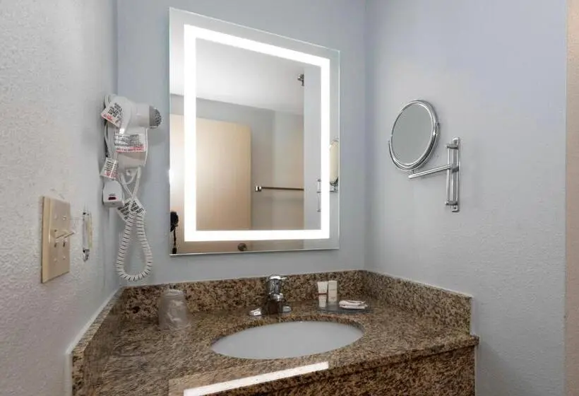 اتاق سوپریور با تخت بزرگ, Red Roof Inn & Suites Wilmington – New Castle