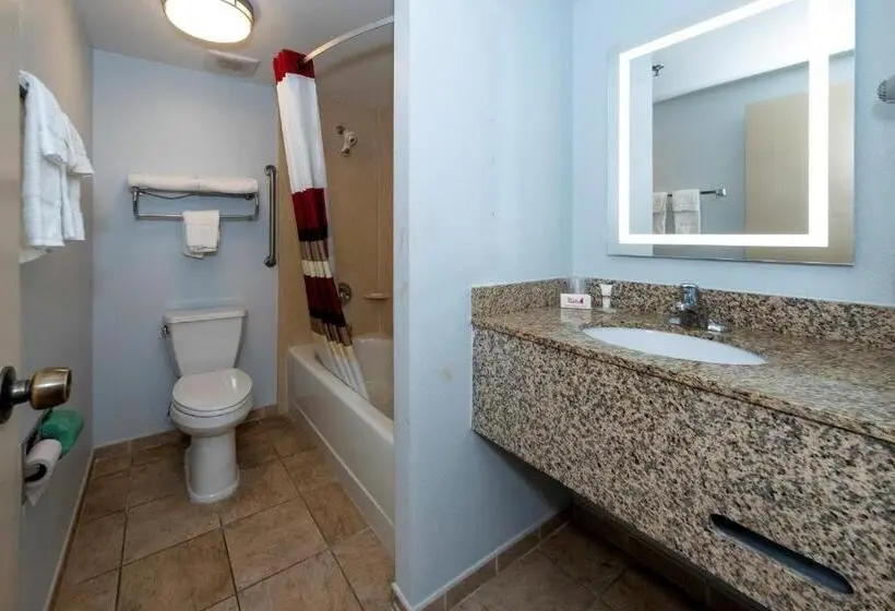 اتاق سوپریور با تخت بزرگ, Red Roof Inn & Suites Wilmington – New Castle