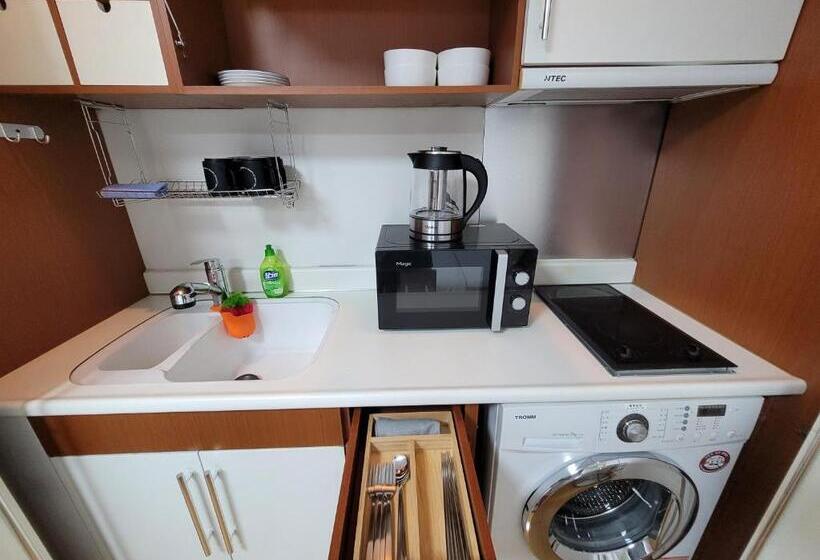 Quarto Quádruplo Standard, Shseoul