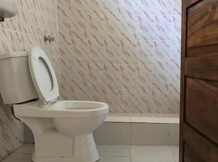 اتاق استاندارد سه نفره, Ames Nungwi