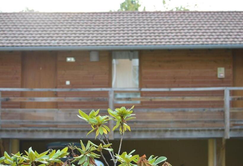 חדר סטנדרט לשלושה, Restaurant Du Midi