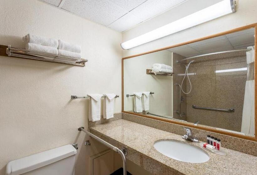 Номер Deluxe Адаптированный для Инвалидов, Baymont By Wyndham Queensbury/lake George