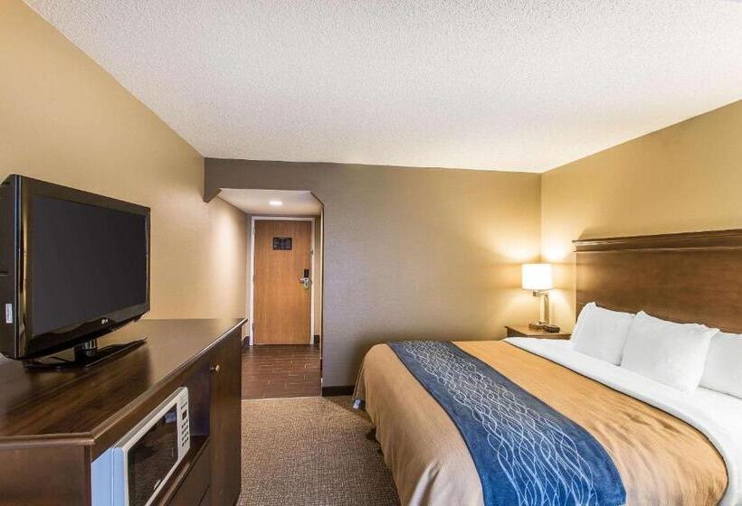 带大床的套房, Comfort Inn & Suites Cookeville