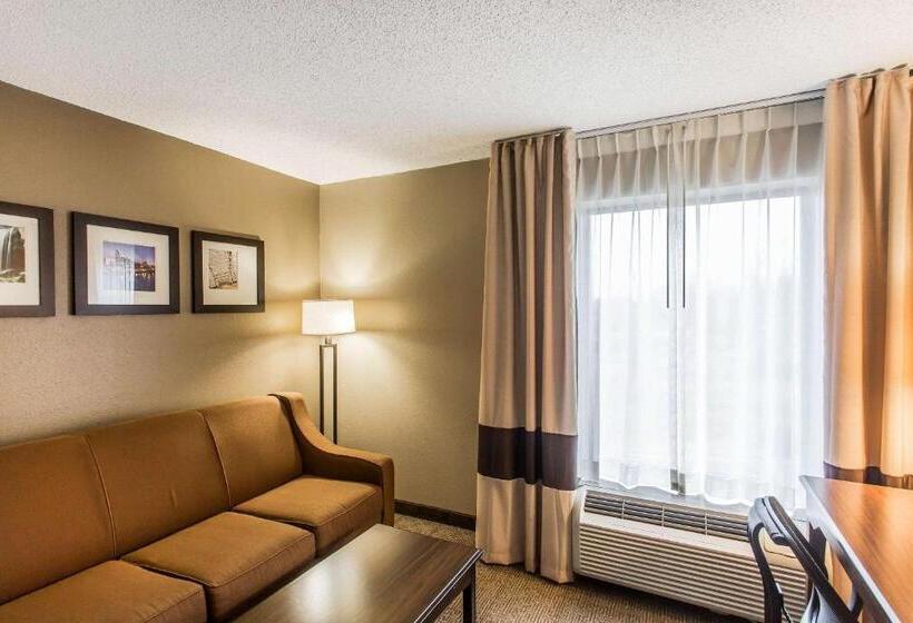 带大床的套房, Comfort Inn & Suites Cookeville