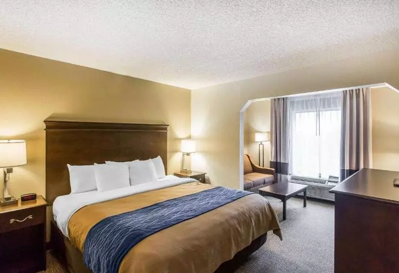 キングサイズベッドのスイートルーム, Comfort Inn & Suites Cookeville