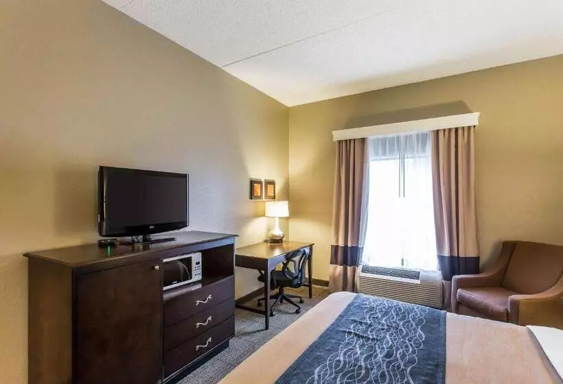 キングサイズベッドのスタンダードルーム, Comfort Inn & Suites Cookeville