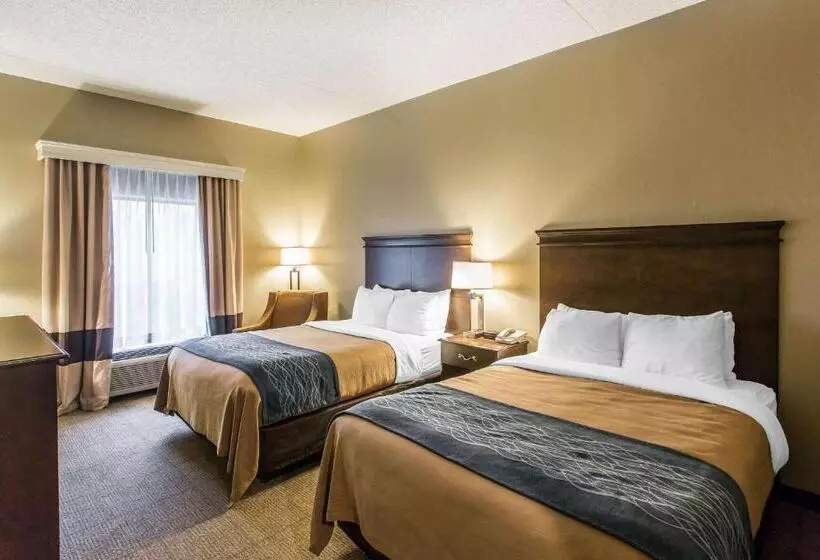 スタンダードルーム, Comfort Inn & Suites Cookeville