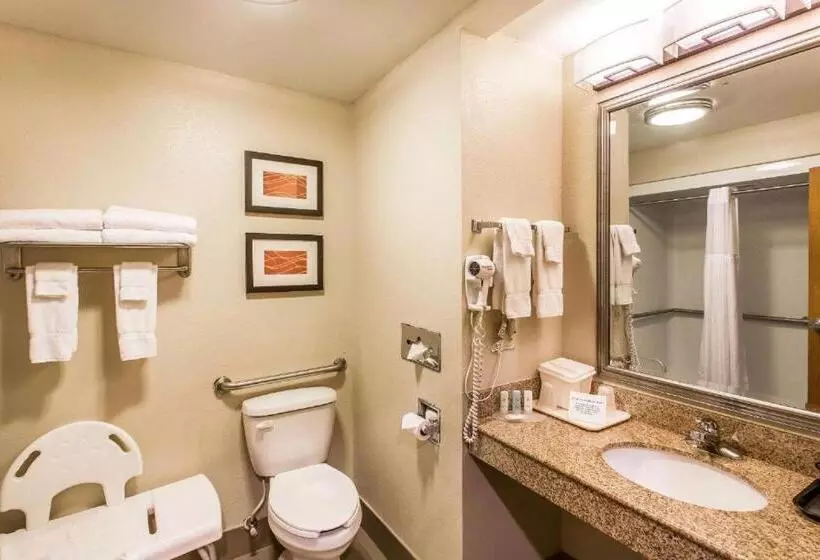 身障者適用キングサイズベッドルーム, Comfort Inn & Suites Cookeville