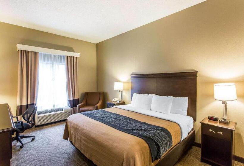 适合残疾人士使用的带超级大床的标准间, Comfort Inn & Suites Cookeville