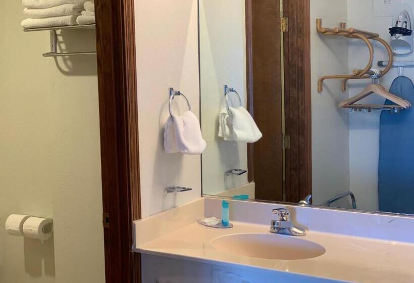 Номер Стандарт, Red Carpet Inn Medford