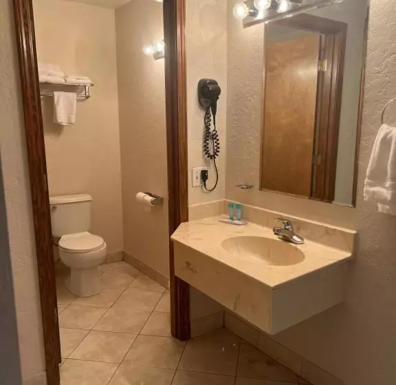 اتاق استاندارد با تخت بزرگ, Red Carpet Inn Medford
