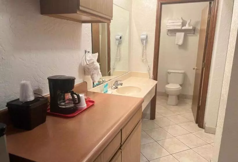 اتاق استاندارد با تخت بزرگ, Red Carpet Inn Medford
