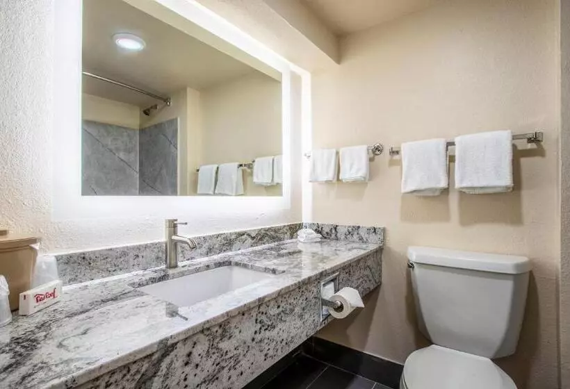 キングサイズベッドのスーペリアルーム, Red Roof Inn El Paso West