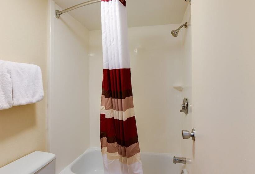 غرفة ديلوكس, Red Roof Inn Grand Rapids Airport