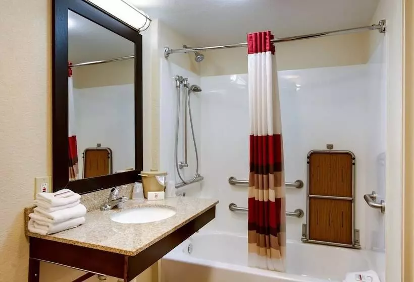 اتاق دلوکس مخصوص معلولین, Red Roof Inn Grand Rapids Airport