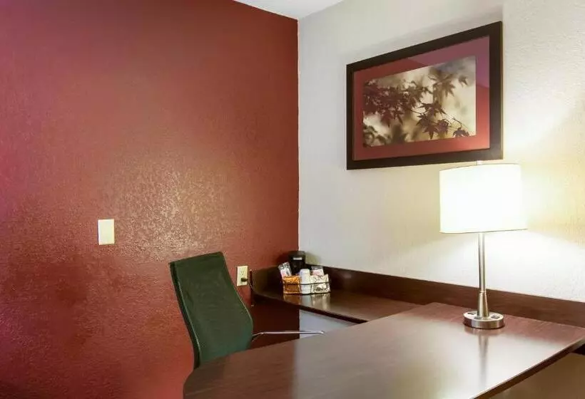 اتاق سوپریور با تخت بزرگ, Red Roof Inn Grand Rapids Airport