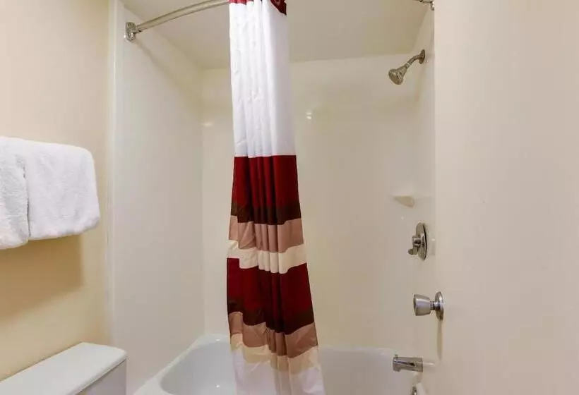 اتاق لوکس با تخت بزرگ, Red Roof Inn Grand Rapids Airport