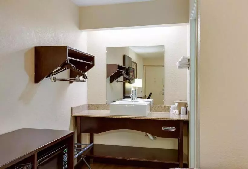 اتاق لوکس با تخت بزرگ, Red Roof Inn Grand Rapids Airport
