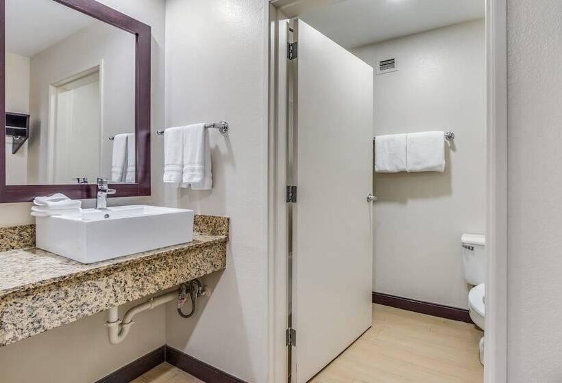 Номер Стандарт 2 Двуспальные Кровати, Red Roof Inn Phoenix North   I 17 At Bell Rd