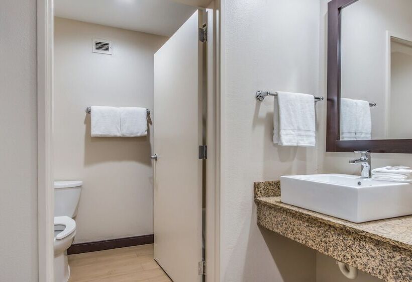 غرفه قياسيه سريرين مزدوجين, Red Roof Inn Phoenix North   I 17 At Bell Rd