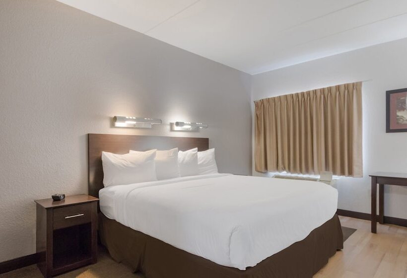 スイート, Red Roof Inn San Antonio   Seaworld Northwest