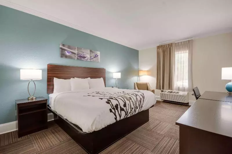 キングサイズベッドのスタンダードルーム, Sleep Inn & Suites Niceville   Destin