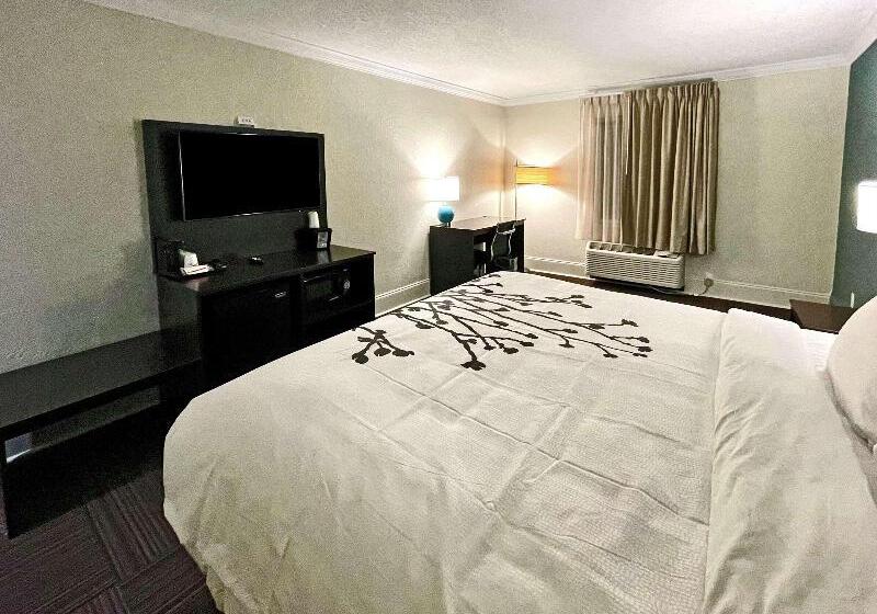 جناح سرير كينج, Sleep Inn & Suites Niceville   Destin