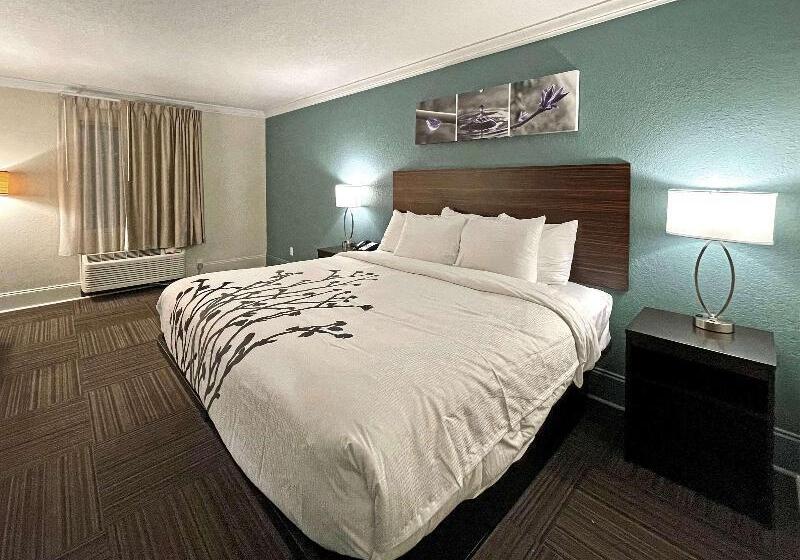 غرفة قياسية سرير كينج لذوى الإحتياجات الخاصة, Sleep Inn & Suites Niceville   Destin