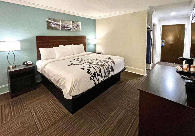 غرفة قياسية سرير كينج لذوى الإحتياجات الخاصة, Sleep Inn & Suites Niceville   Destin