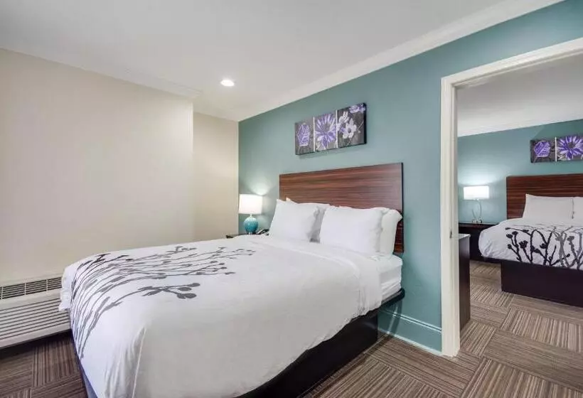 キングサイズベッドのスタンダードルーム, Sleep Inn & Suites Niceville   Destin