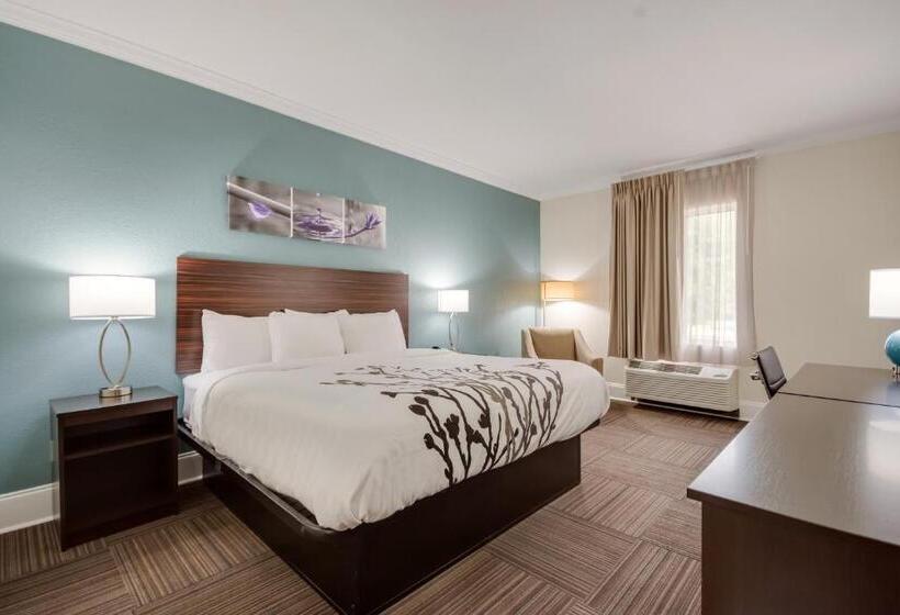 Стандартный Номер Кровать Кинг, Sleep Inn & Suites Niceville   Destin