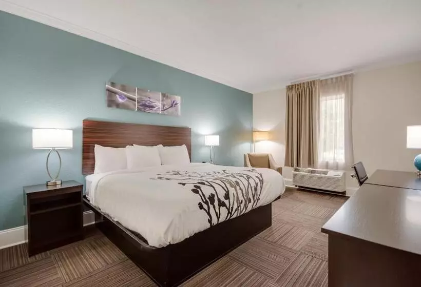 キングサイズベッドのスタンダードルーム, Sleep Inn & Suites Niceville   Destin