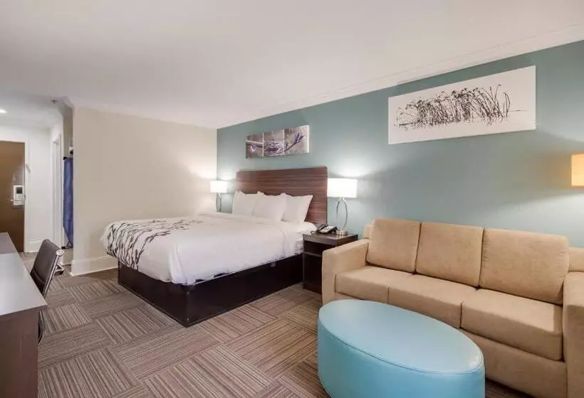 キングサイズベッドのスイートルーム, Sleep Inn & Suites Niceville   Destin