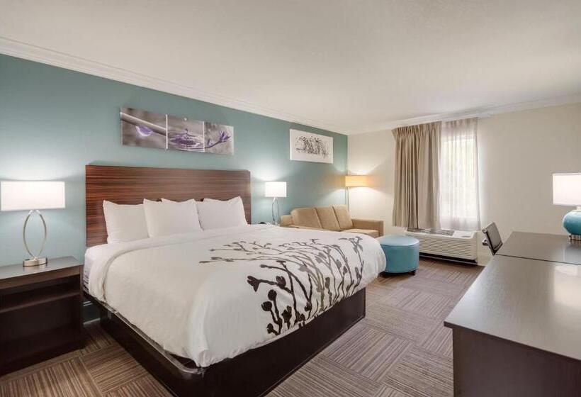 Люкс Кровать Кинг, Sleep Inn & Suites Niceville   Destin