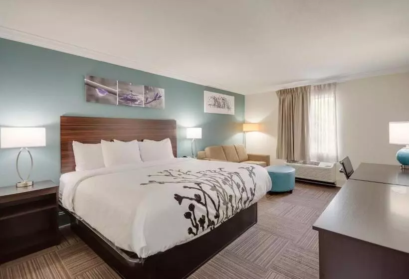 キングサイズベッドのスイートルーム, Sleep Inn & Suites Niceville   Destin