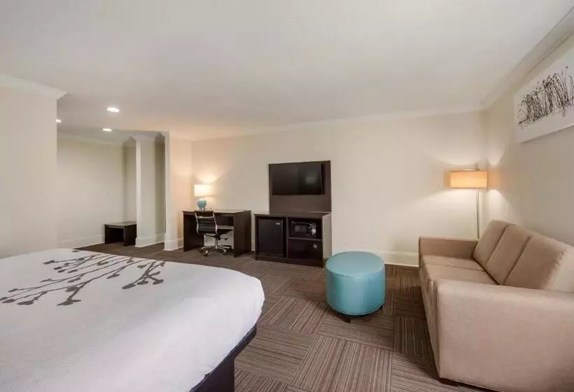 キングサイズベッドのスイートルーム, Sleep Inn & Suites Niceville   Destin